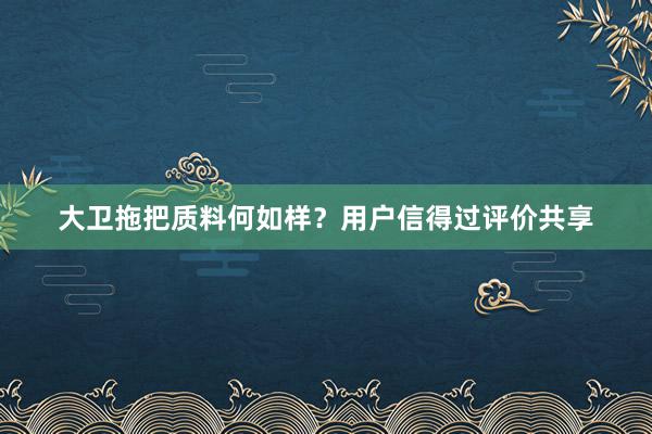 大卫拖把质料何如样？用户信得过评价共享