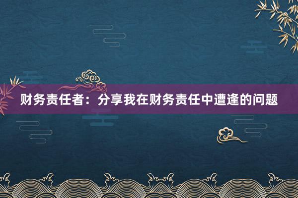 财务责任者：分享我在财务责任中遭逢的问题