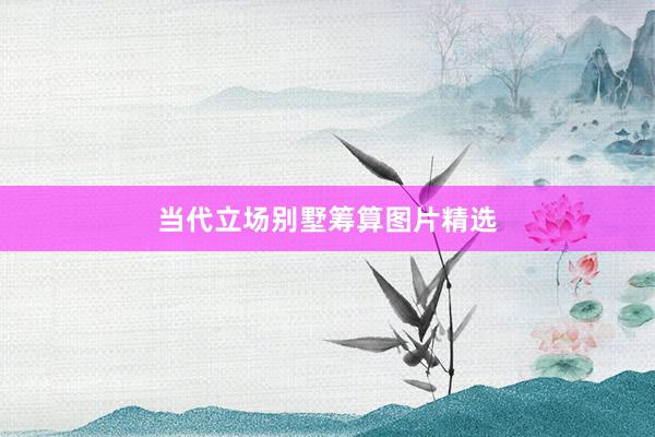当代立场别墅筹算图片精选